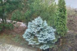 Resize of DSC02228.JPG